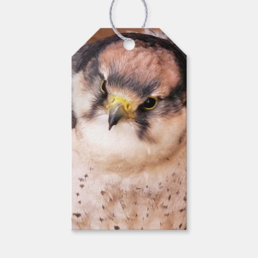 FALCON GESCHENKANHÄNGER (Vorderseite)