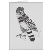 Falcon Greeting Card (Vorne)