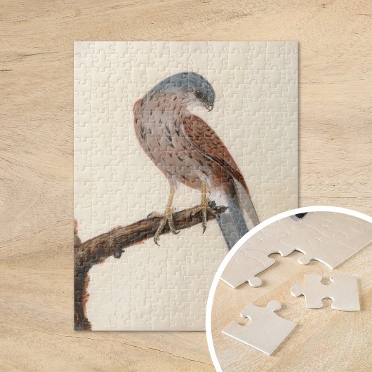 Falcon Hen Kestrel | William Lewin Puzzle