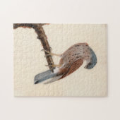 Falcon Hen Kestrel | William Lewin Puzzle (Horizontal)