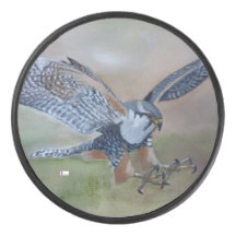 Falcon Hockey Puck von GStuller