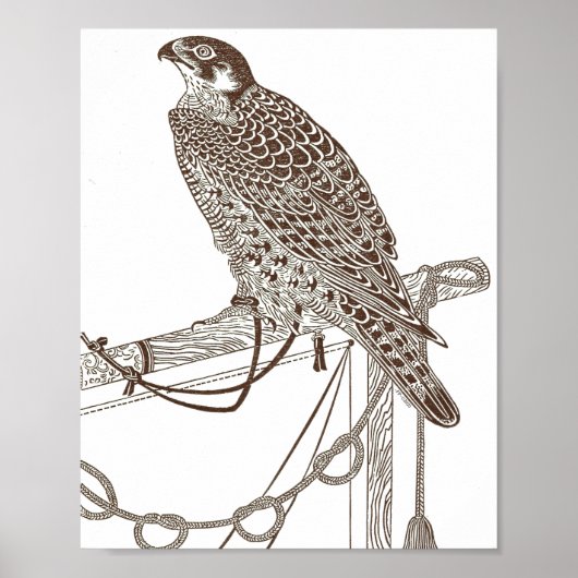 Falcon, Iconic, Falcon Art, Japan Print Poster (Vorne)