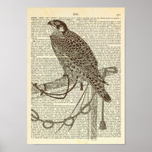 Falcon, Iconic, Gravur, Falcon Art Poster
