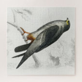 Falcon Illustration Vintag Art Print Puzzle (Horizontal)