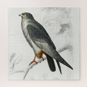 Falcon Illustration Vintag Art Print Puzzle