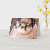 FALCON KARTE (Gelbe Blume)