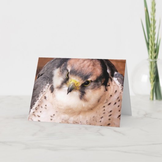 FALCON KARTE (Vorderseite)