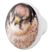 FALCON KERAMIKKNAUF (Rechts)