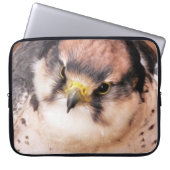 FALCON LAPTOPSCHUTZHÜLLE (Vorderseite)