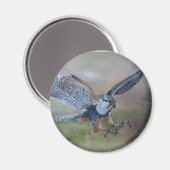 Falcon Magnet von GStuller (Vorderseite/Rückseite)