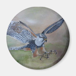 Falcon Magnet von GStuller
