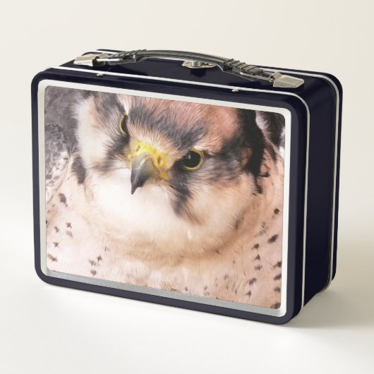 FALCON METALL BROTDOSE (Rückseite)