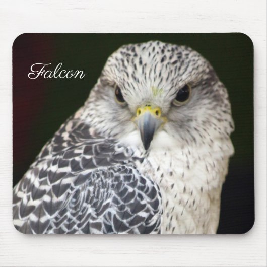 Falcon Mousepad (Vorne)