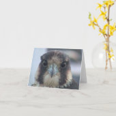 Falcon notecard karte (Gelbe Blume)