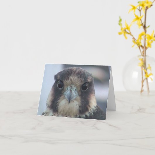 Falcon notecard karte (Gelbe Blume)