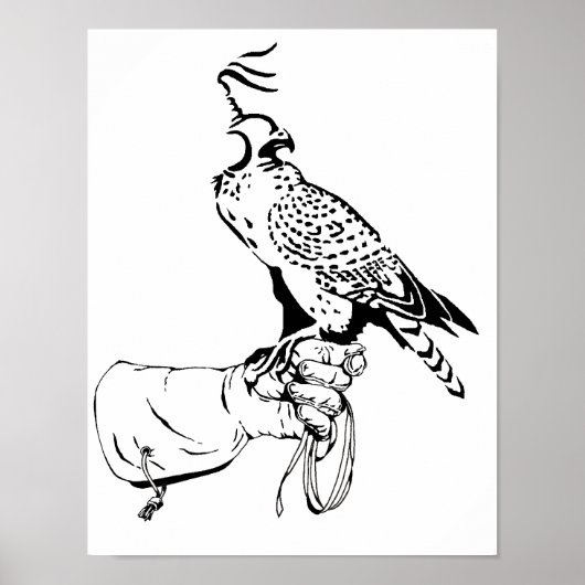 Falcon on Glove Poster (Vorne)