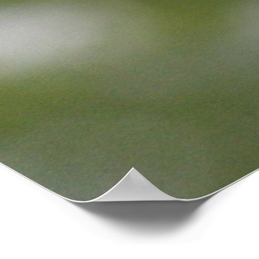 Falcon Poster (Ecke)