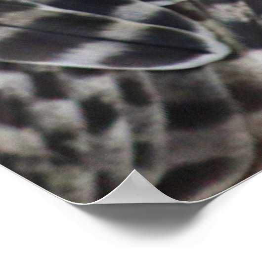 Falcon Poster (Ecke)