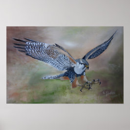 Falcon Poster