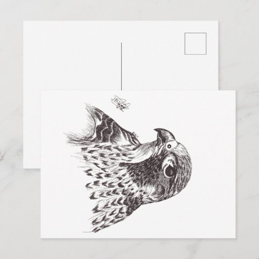 FALCON POSTKARTE (Vorne/Hinten)