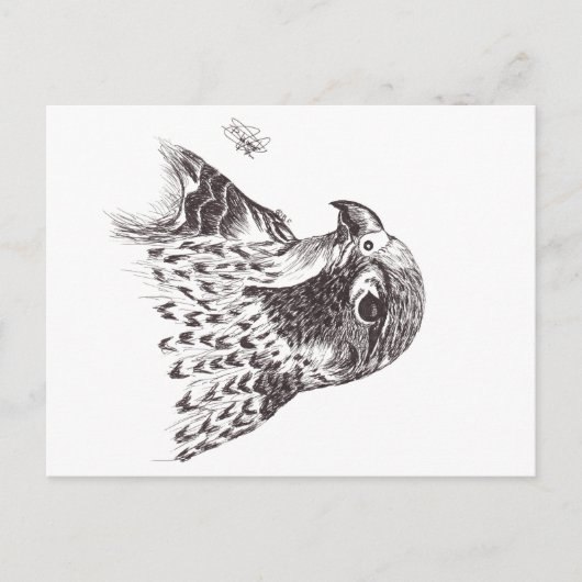 FALCON POSTKARTE (Vorderseite)