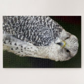 Falcon Puzzle (Horizontal)
