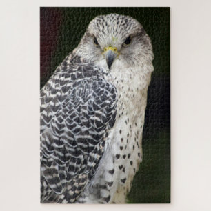 Falcon Puzzle