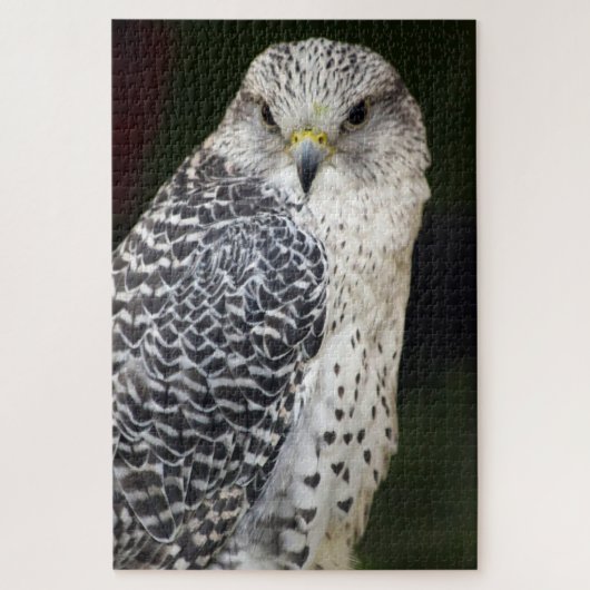 Falcon Puzzle (Vertikal)