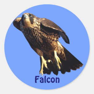 Falcon Raptor Birdlover's Wildlife Sticker