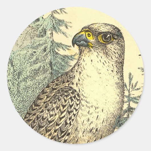 Falcon Runder Aufkleber (Vorderseite)
