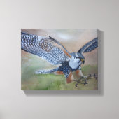 Falcon Stretched Canvas Print Leinwanddruck (Vorderseite)