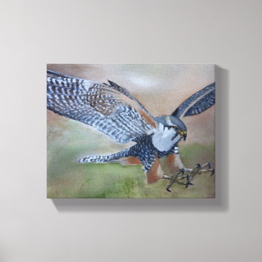 Falcon Stretched Canvas Print Leinwanddruck (Vorderseite)