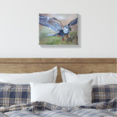 Falcon Stretched Canvas Print Leinwanddruck (Insitu (Schlafzimmer))