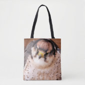 FALCON TASCHE (Vorderseite)