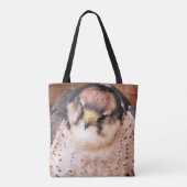 FALCON TASCHE (Rückseite)