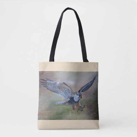 Falcon-Tasche Tasche (Vorderseite)