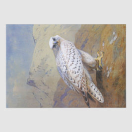 Falcon Watercolor Wildlife Seidenpapier