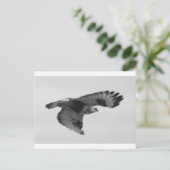 FalconInFlight Postkarte (Stehend Vorderseite)