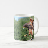 Falconry, Jessed Harris Hawk Kaffeetasse (VorderseiteRechts)