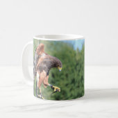 Falconry, Jessed Harris Hawk Kaffeetasse (Vorderseite Links)