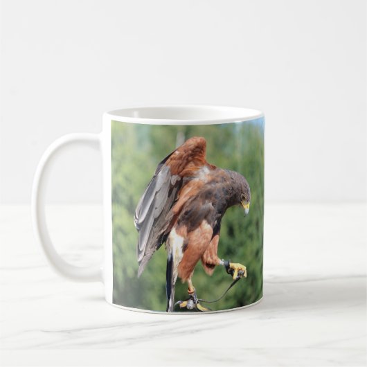 Falconry, Jessed Harris Hawk Kaffeetasse (Links)