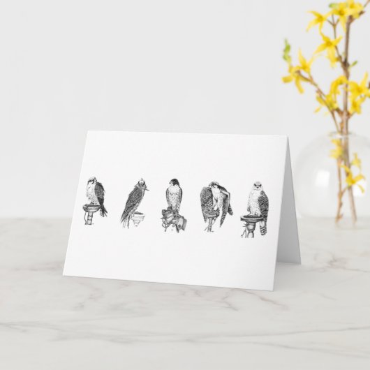 Falconry Studies Geburtskarte Karte (Gelbe Blume)