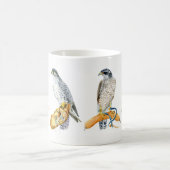 Falconry-Tasse Kaffeetasse (Mittel)