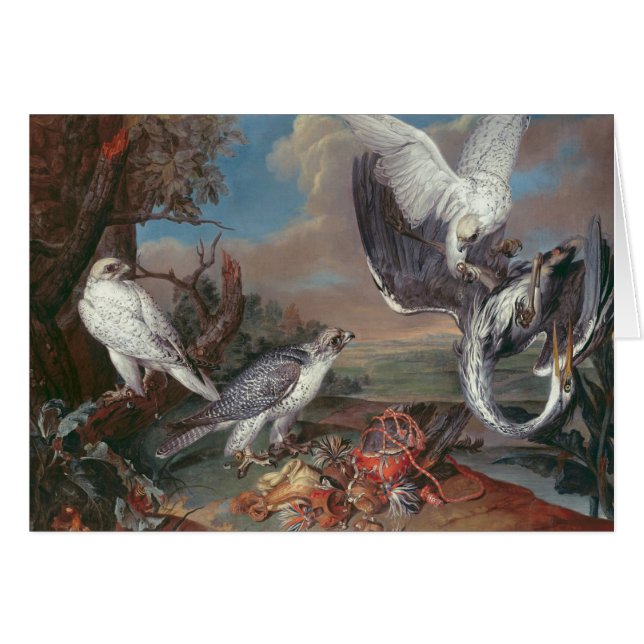 Falcons Grönlands Cyr (Vorderseite (Horizontal))