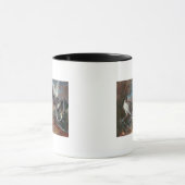 Falcons Grönlands Cyr Tasse (Zentrum)