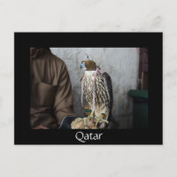 Falcony Falcon Black Qatar Postkarte
