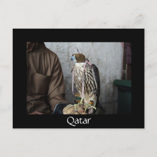 Falcony Falcon Black Qatar Postkarte