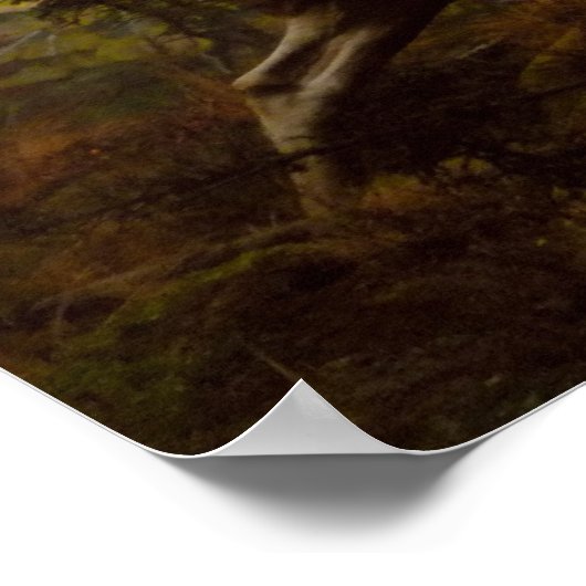 Falgers Edge Poster (Ecke)