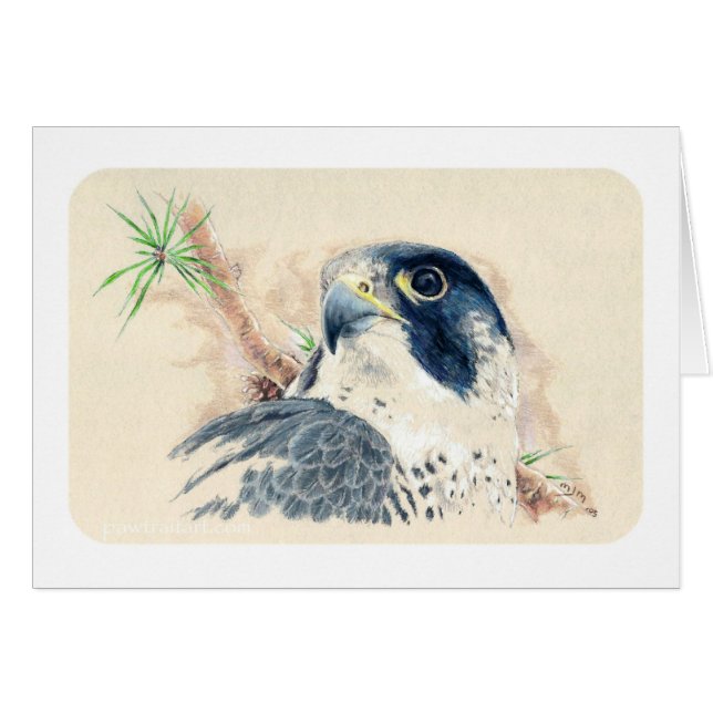 Falke (Vorderseite (Horizontal))