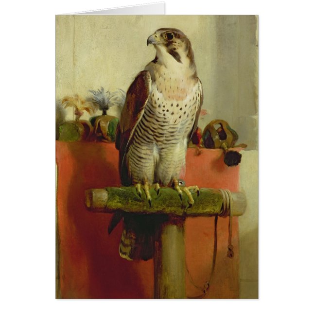 Falke, 1837 (Vorne)